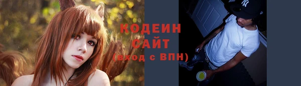 шишки Дмитриев