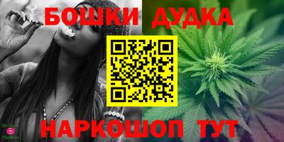 хмурый Бийск