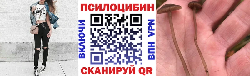 Псилоцибиновые грибы мицелий  Большой Камень 