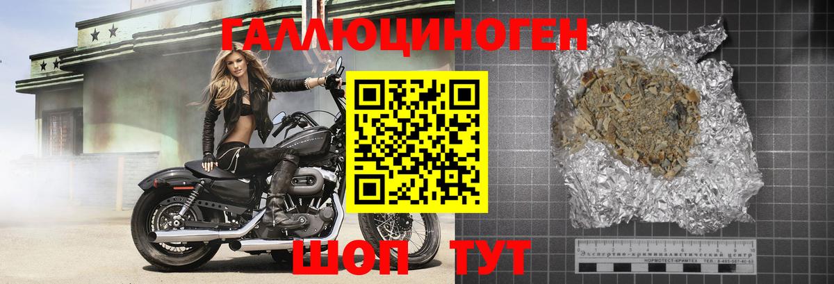 Галлюциногенные грибы Psilocybine cubensis  Галлюциногенные грибы MAGIC MUSHROOMS  Большой Камень 