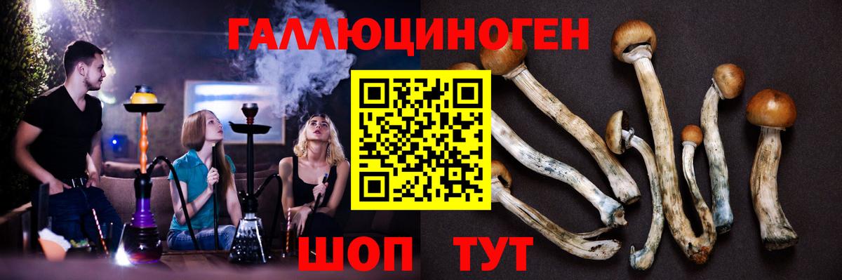 Псилоцибиновые грибы прущие грибы Большой Камень